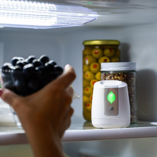 pureAir FRIDGE air purifier use in refrigerator