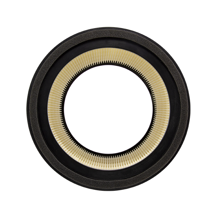 Replacement Active HEPA+ Pro Filter