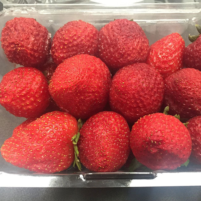 strawberries after being in a fridge with the pureAir FRIDGE air purifier