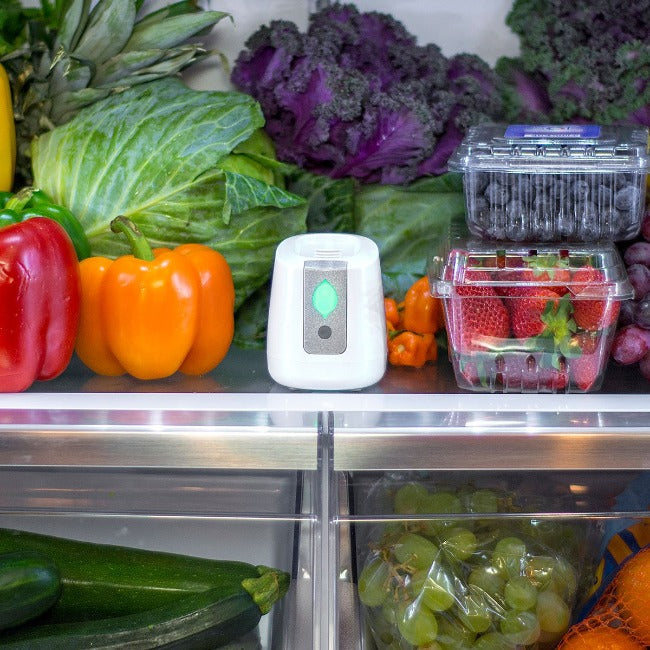pureAir FRIDGE air purifier inside refrigerator full of fresh fruits and vegetables