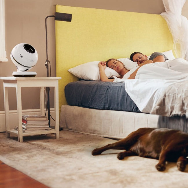 Couple and dog sleep in room with pureFlow QT7 bladeless cooling fan for home